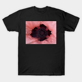 Poppy Crown T-Shirt